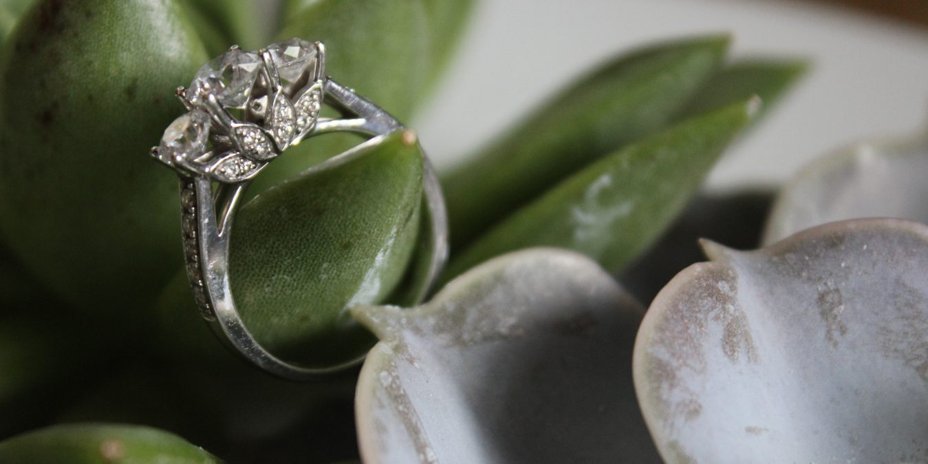 Engagement ring on a succulent